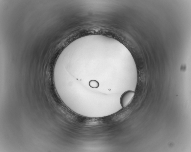 X0000091570754200709100956