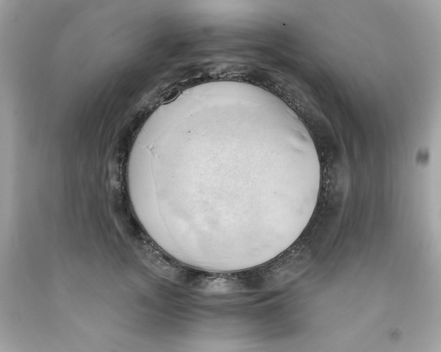 X0000091570755200709100956