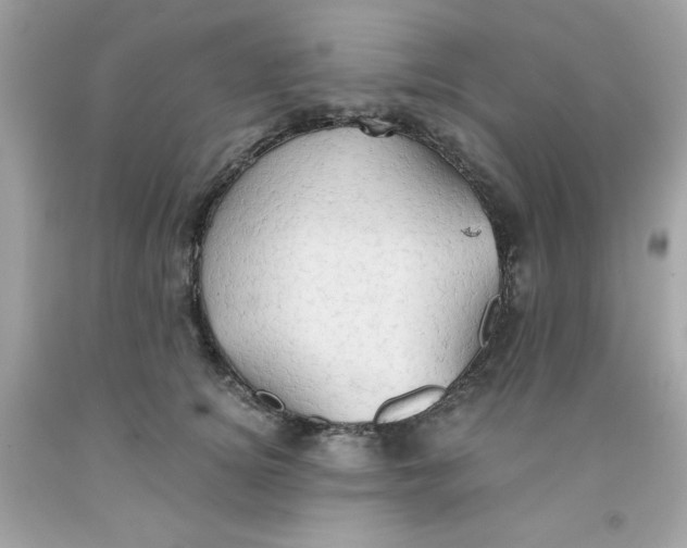 X0000091570756200709100956