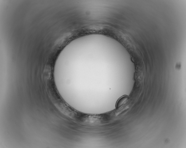 X0000091570758200709100956