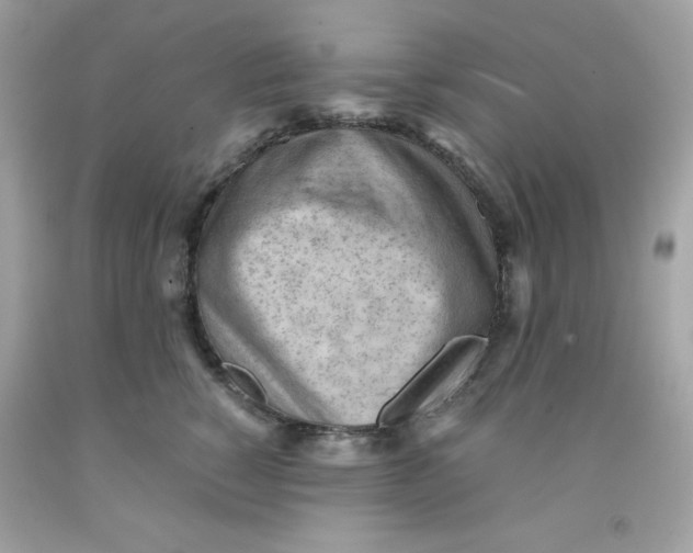 X0000091570760200709100956