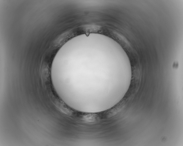 X0000091570761200709100956