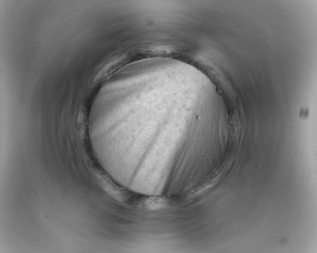 X0000091570762200709100956