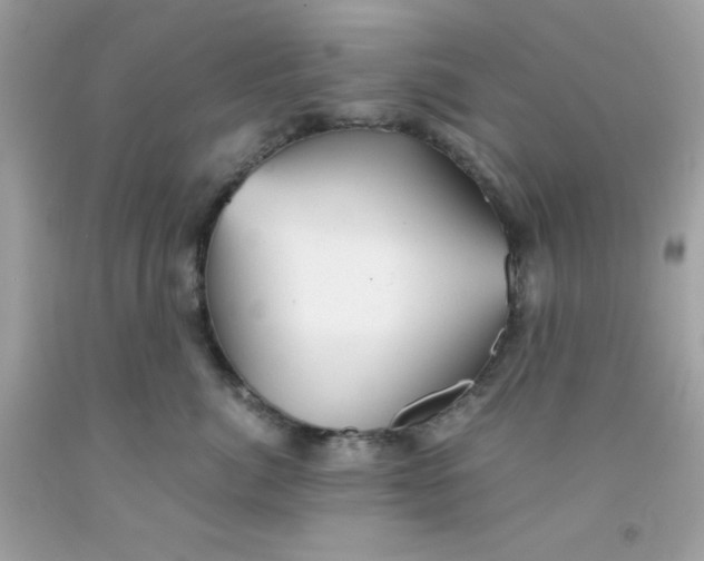 X0000091570764200709100956