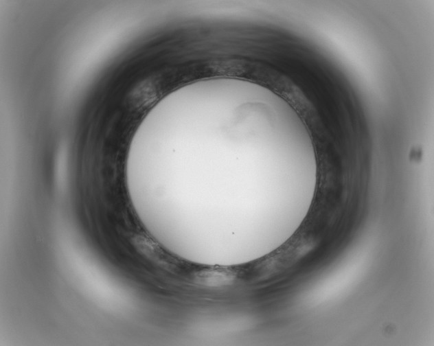 X0000091570765200709100956