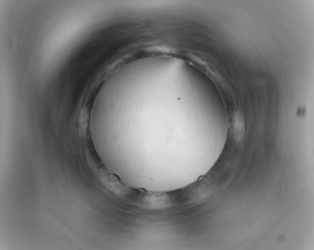 X0000091570767200709100956