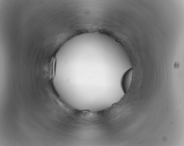 X0000091570768200709100956