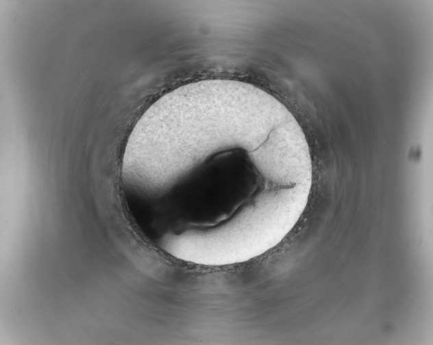 X0000091570769200709100956