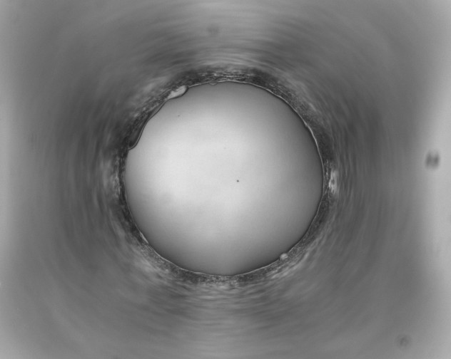 X0000091570771200709100956