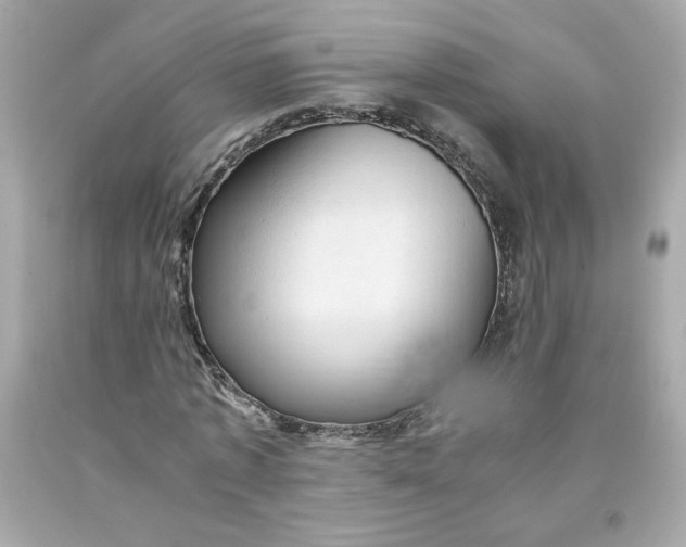 X0000091570773200709100956