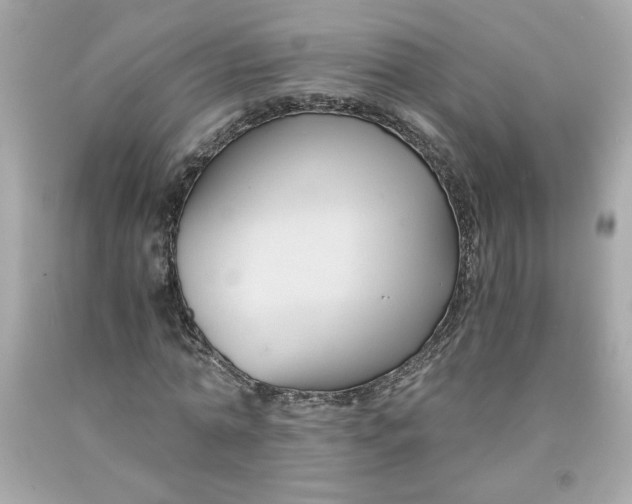 X0000091570774200709100956