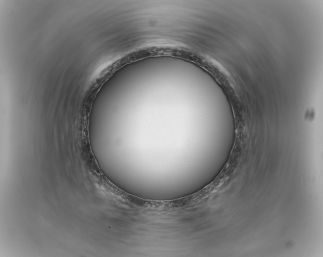 X0000091570775200709100956