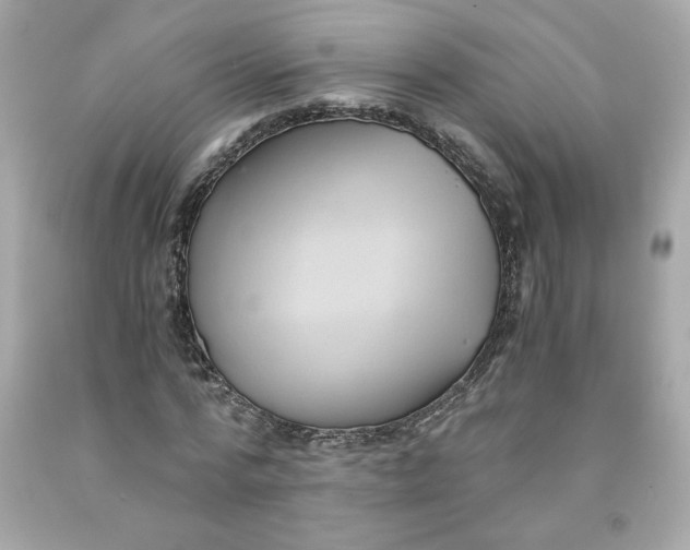 X0000091570776200709100955