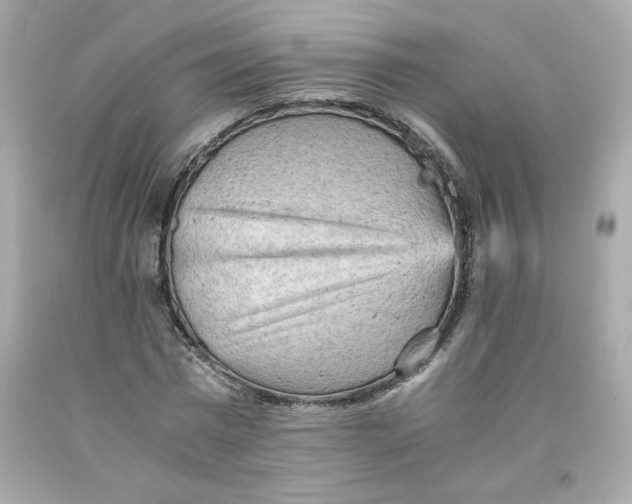 X0000091570777200709100955