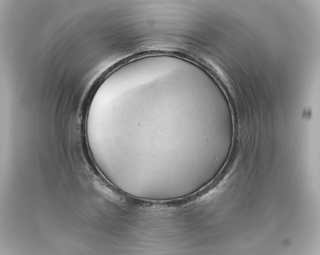 X0000091570779200709100955