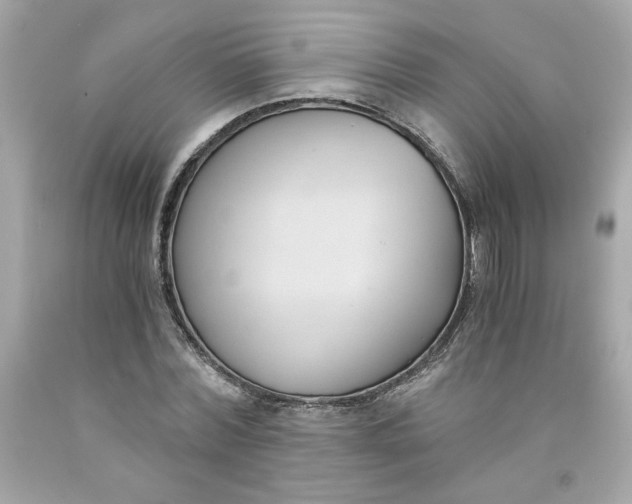 X0000091570780200709100955