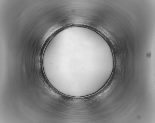 X0000091570782200709100955