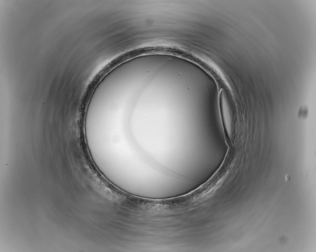 X0000091570783200709100955