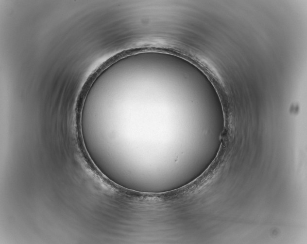 X0000091570784200709100955