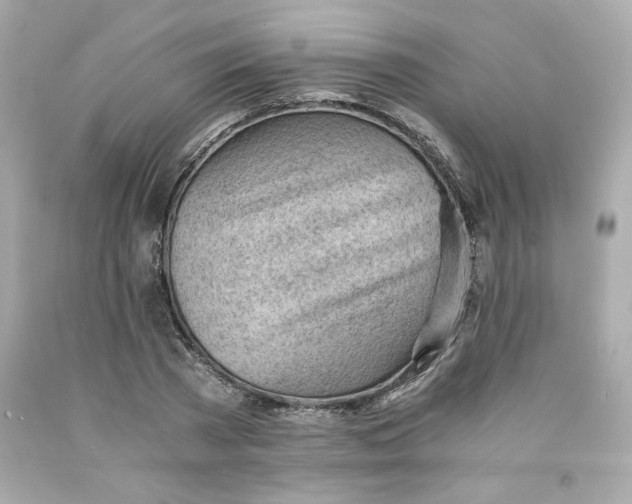 X0000091570785200709100955