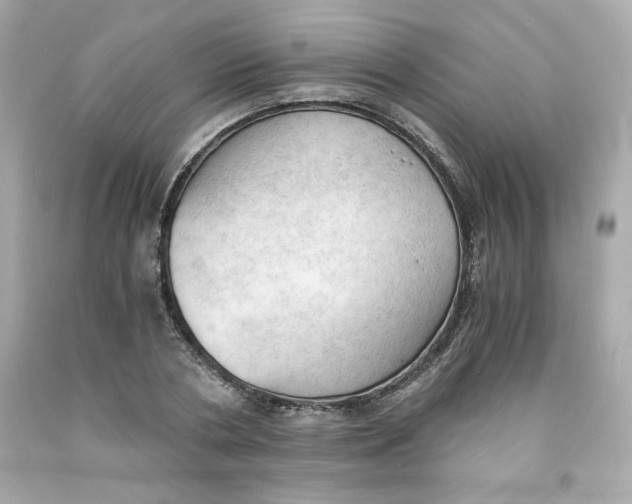 X0000091570786200709100955