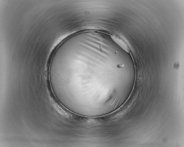 X0000091570787200709100955