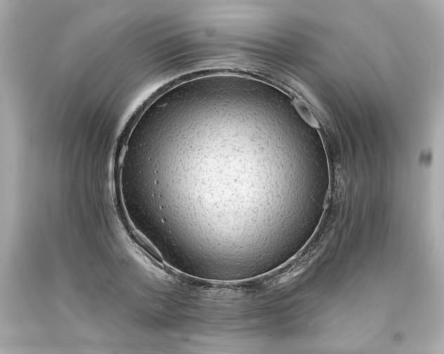 X0000091570788200709100955