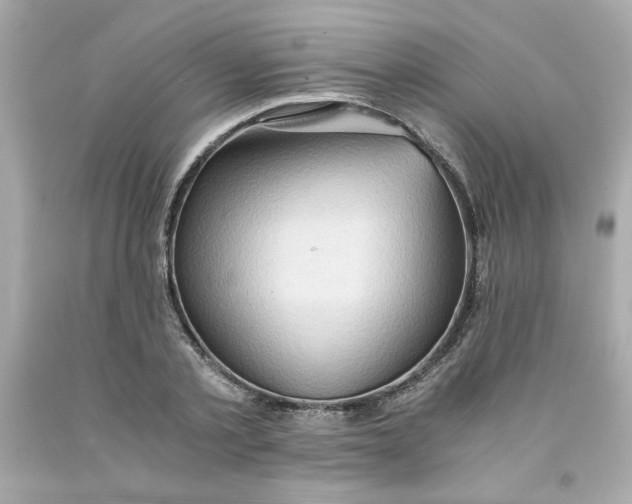 X0000091570789200709100955