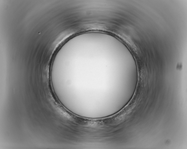 X0000091570790200709100955