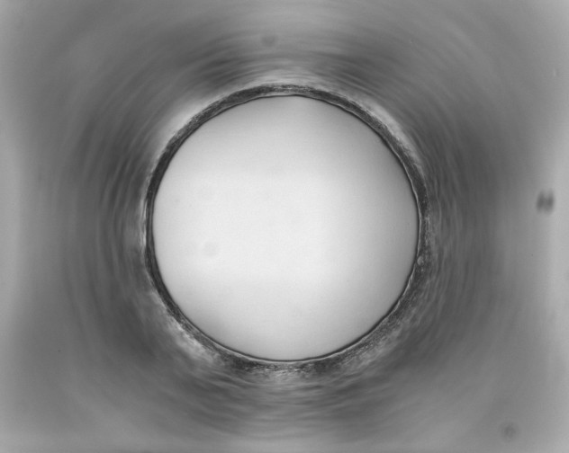 X0000091570791200709100955