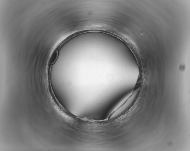 X0000091570792200709100955