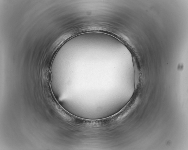 X0000091570793200709100955