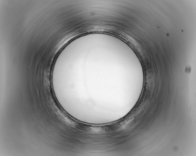 X0000091570794200709100955