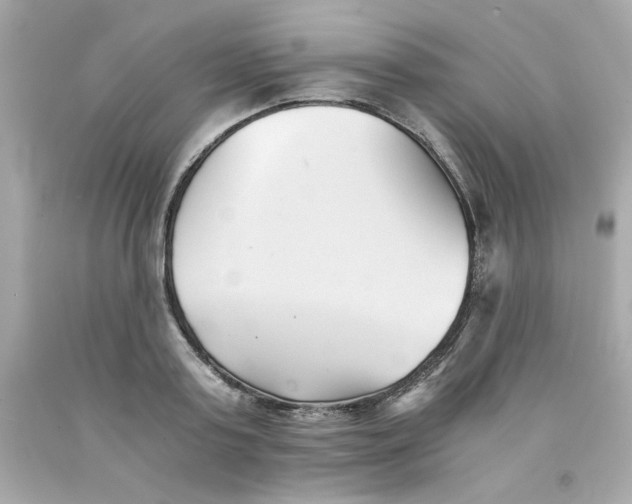 X0000091570795200709100955