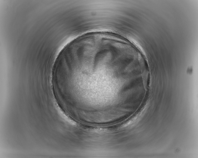 X0000091570797200709100955