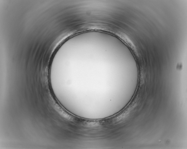 X0000091570798200709100955