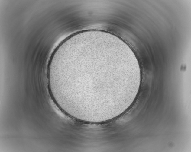 X0000091570800200709100955