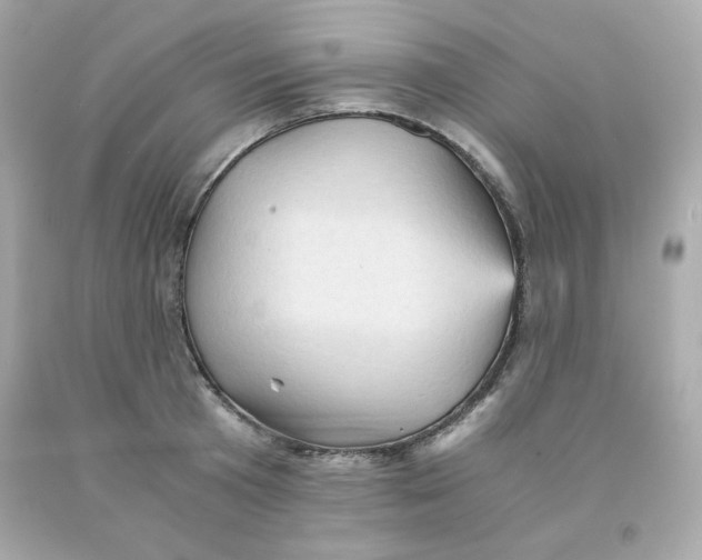 X0000091570801200709100955