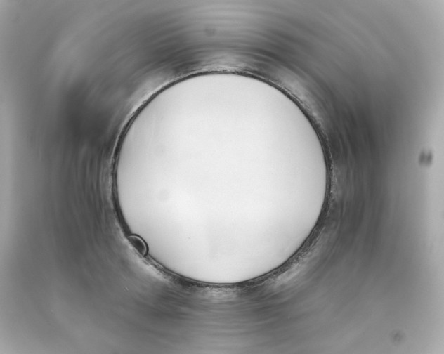 X0000091570802200709100955