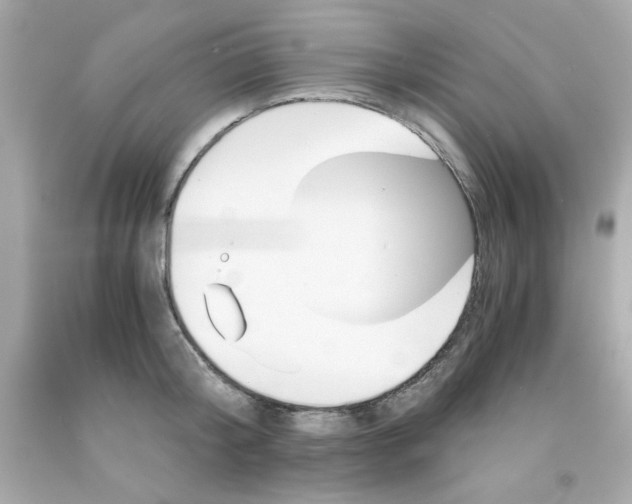 X0000091570804200709100955