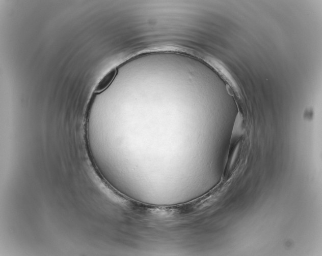 X0000091570805200709100955