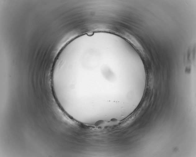 X0000091570806200709100955