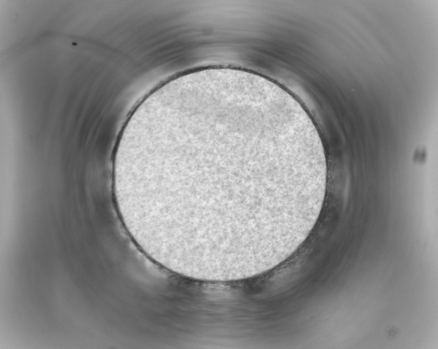 X0000091570807200709100955