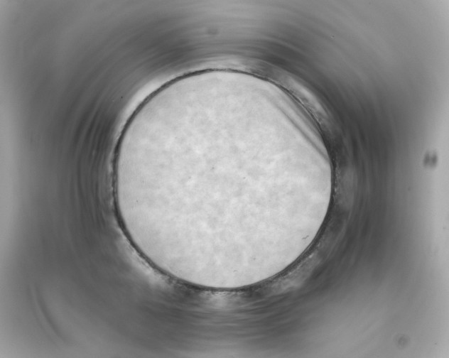 X0000091570808200709100955