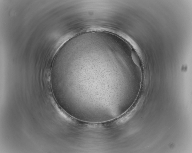 X0000091570809200709100955