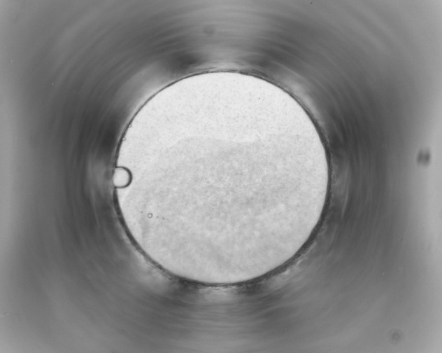 X0000091570810200709100955