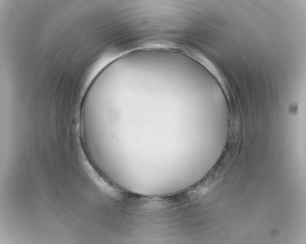 X0000091570811200709100955