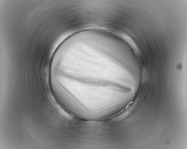 X0000091570812200709100955