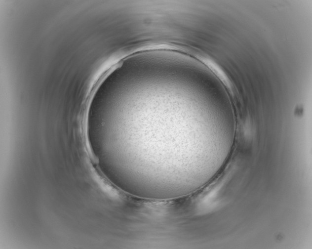 X0000091570813200709100955