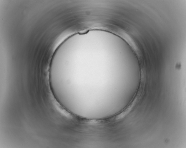 X0000091570814200709100955